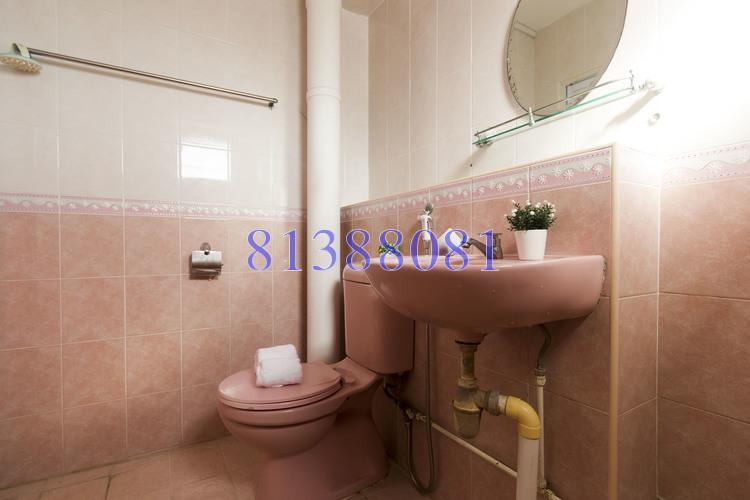 Blk 542 Choa Chu Kang Street 52 (Choa Chu Kang), HDB 4 Rooms #162508062
